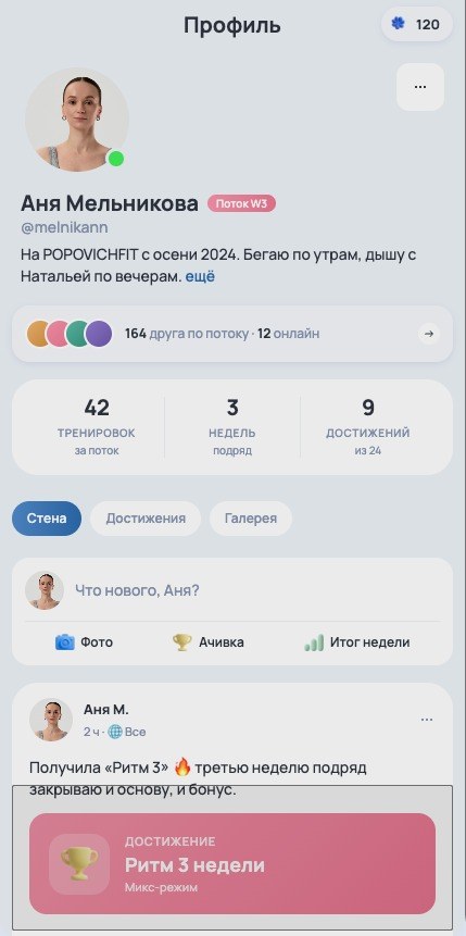 Профиль: стена, достижения, друзья по потоку